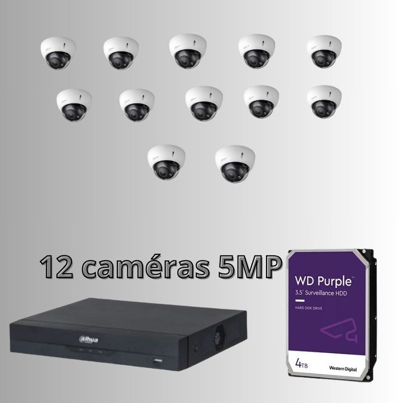 Kit caméra de surveillance en 5MP en dome